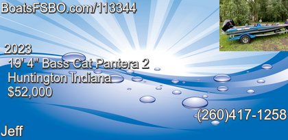 Bass Cat Pantera 2