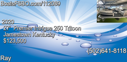 Premier Intrigue 250 Tritoon