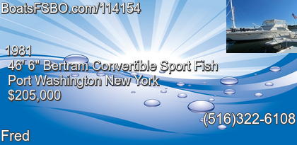 Bertram Convertible Sport Fish
