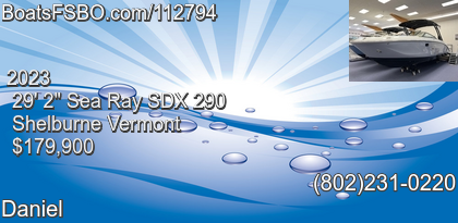 Sea Ray SDX 290