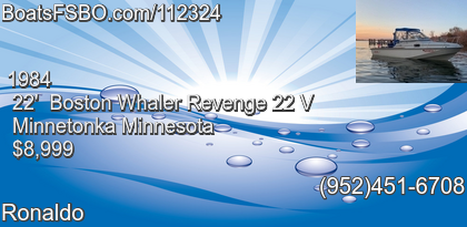 Boston Whaler Revenge 22 V